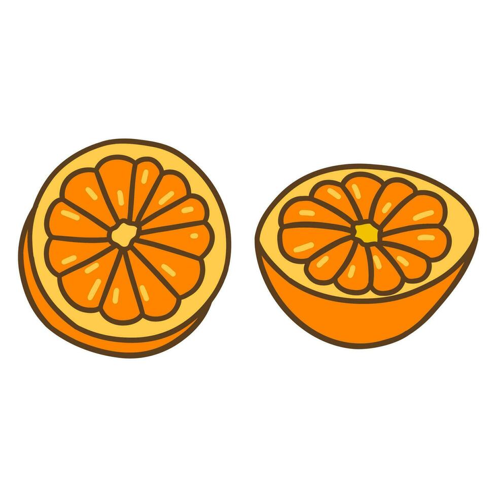 Bright juicy orange cut in half. Doodle vector