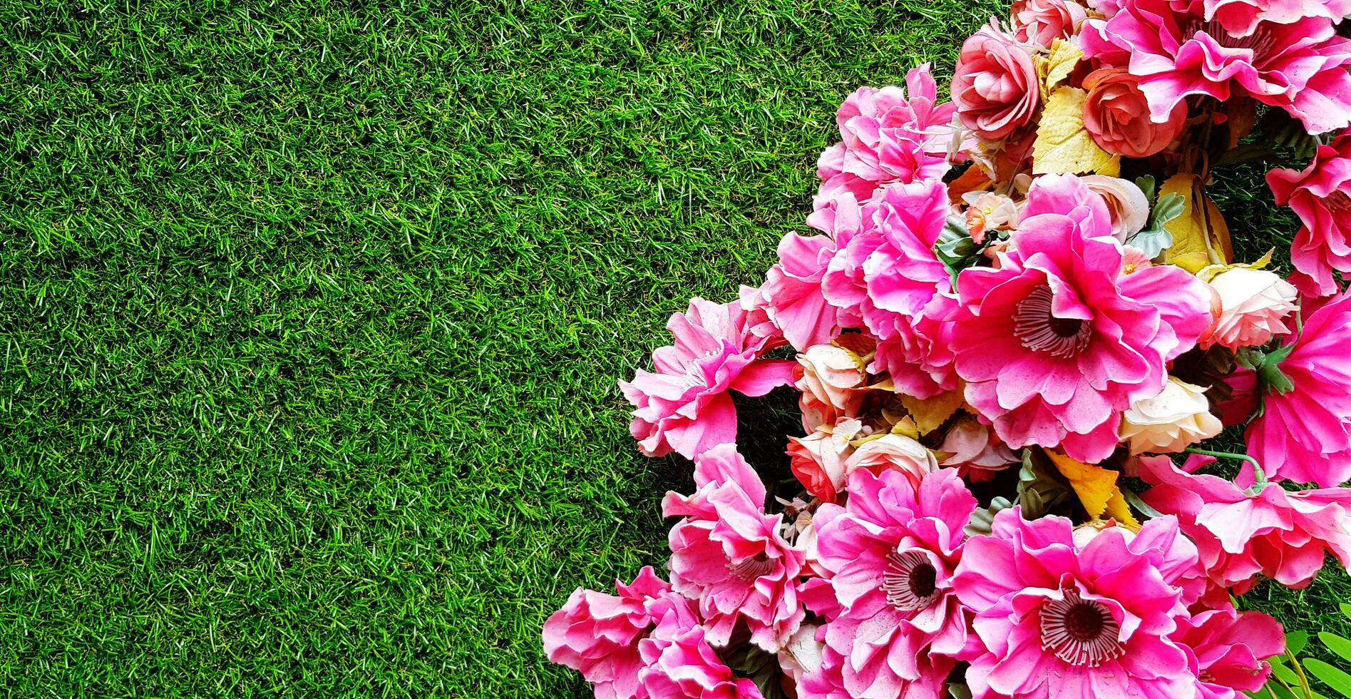 Pink flower blooming or isolated on green grass field with left copy space. Beautiful of Nature and Natural wallpaper photo