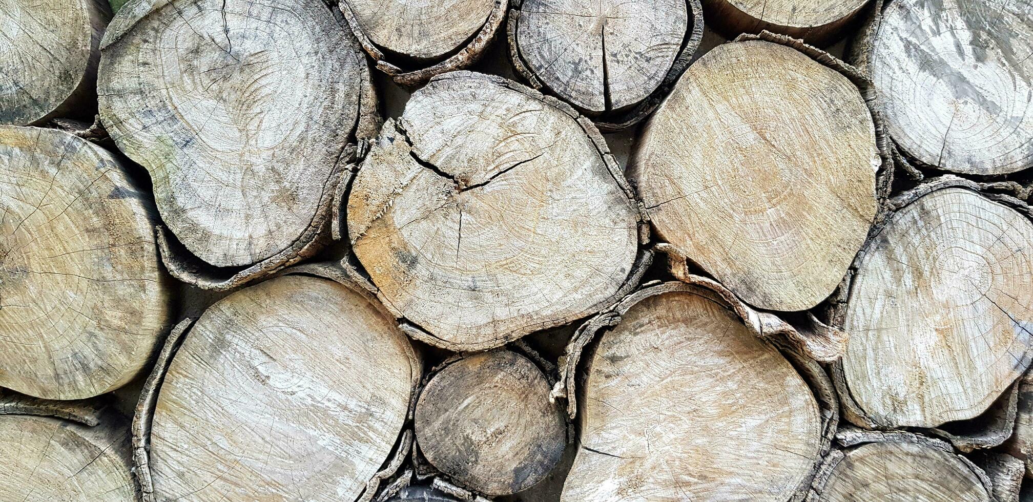 Close up log, wood pile or timber stack for background. Art wallpaper, Natural material, Abstract and Round shape concept photo