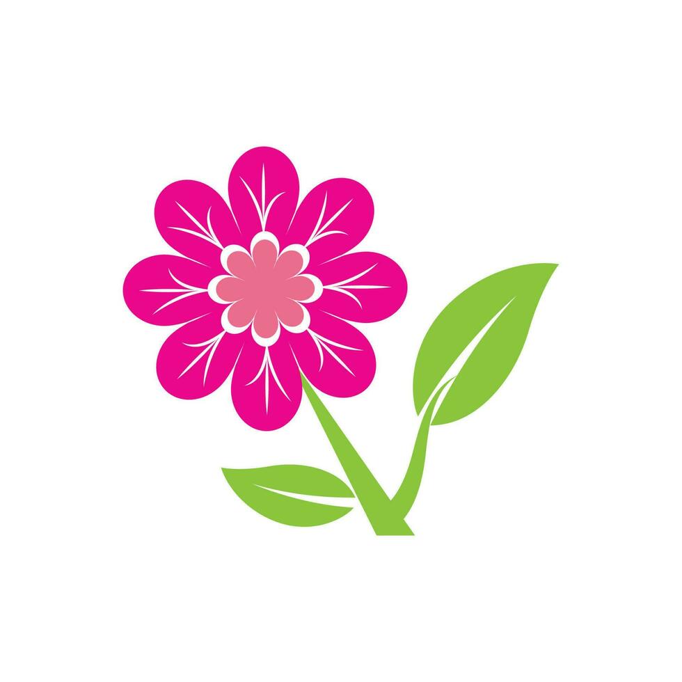 Beauty plumeria icon flowers design illustration Template vector