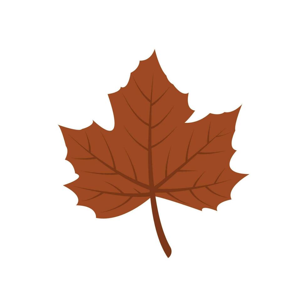 Maple leaf logo Template vector icon illustration design