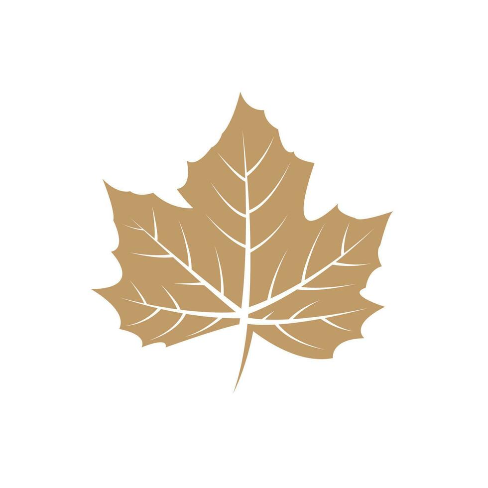 Maple leaf logo Template vector icon illustration design