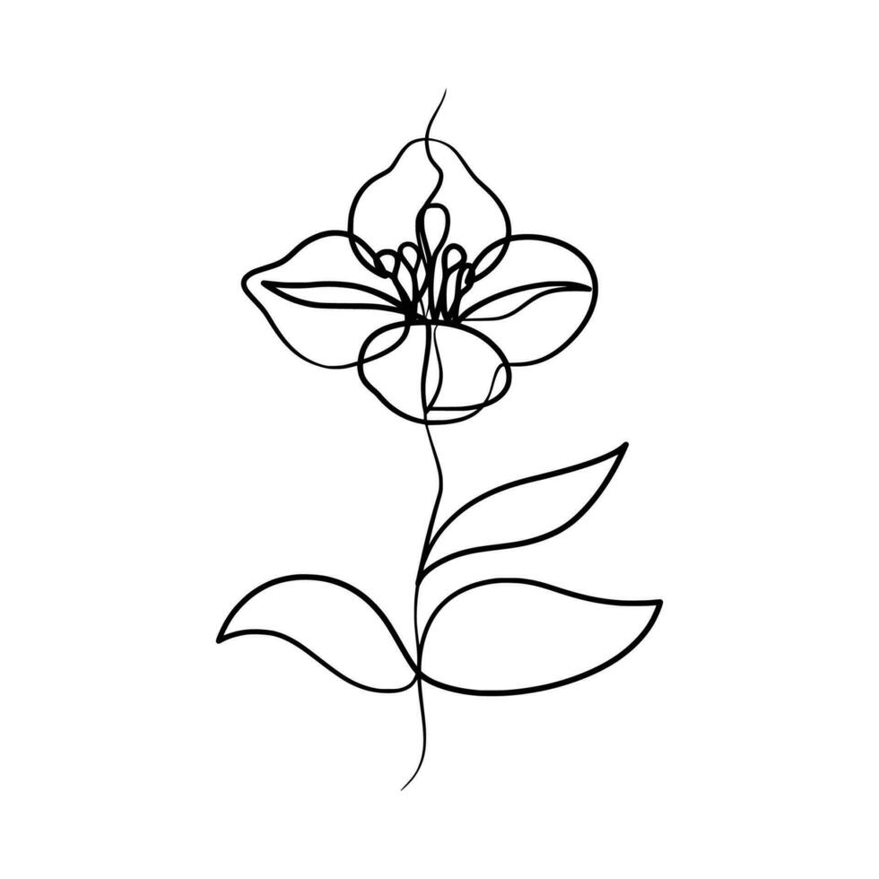 Continuous one line art drawing of beauty jasmine flower vector