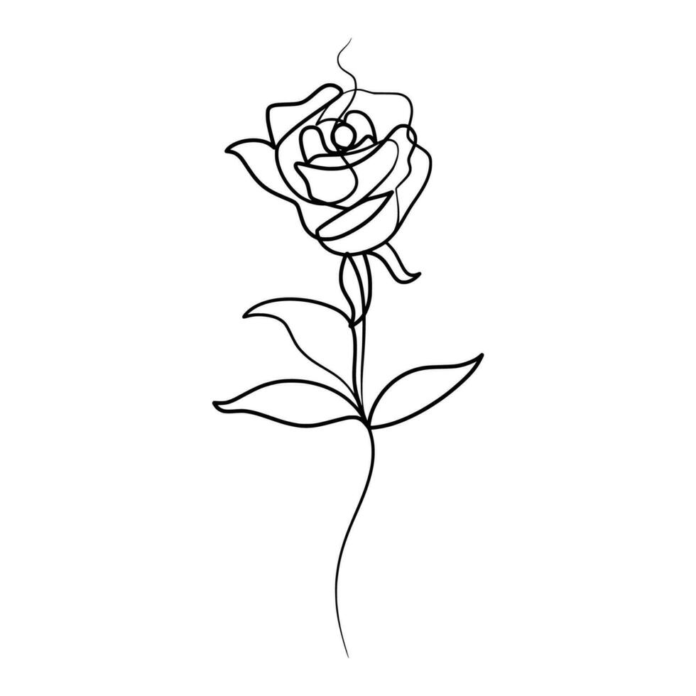 Continuous one line art drawing of beauty rose flower vector