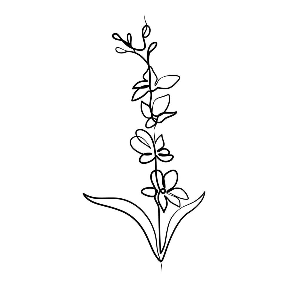 Continuous one line art drawing of beauty orchid flower vector