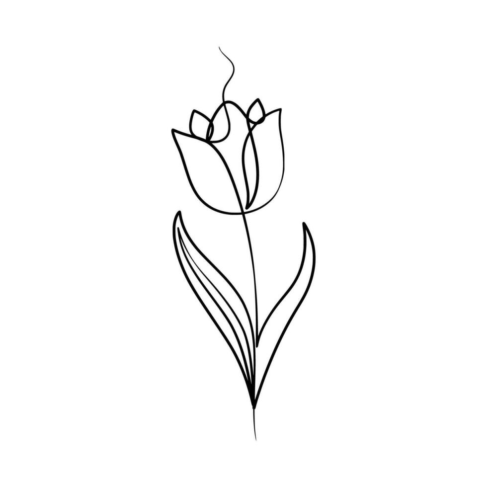 Continuous one line art drawing of beauty tulips flower 24648351 Vector ...