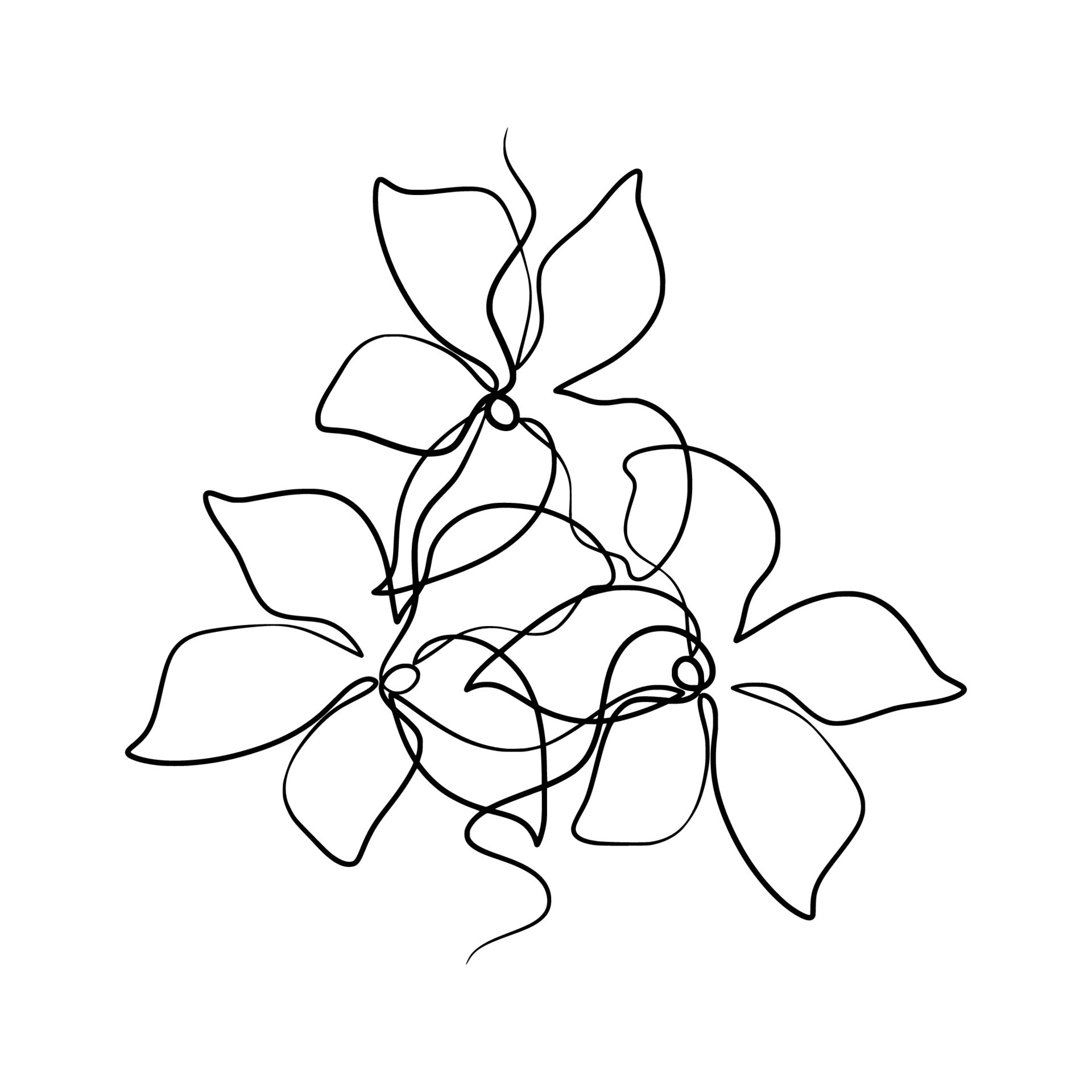 Jasmine Flower, Vector Illustration, Hand Drawing Outline Sketch Stock  Vector - Illustration of fresh, flower: 209865388