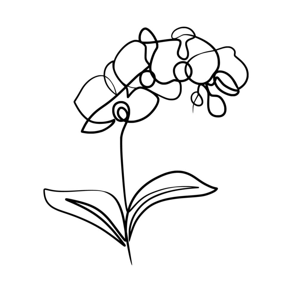 continuo uno línea Arte dibujo de belleza orquídea flor vector