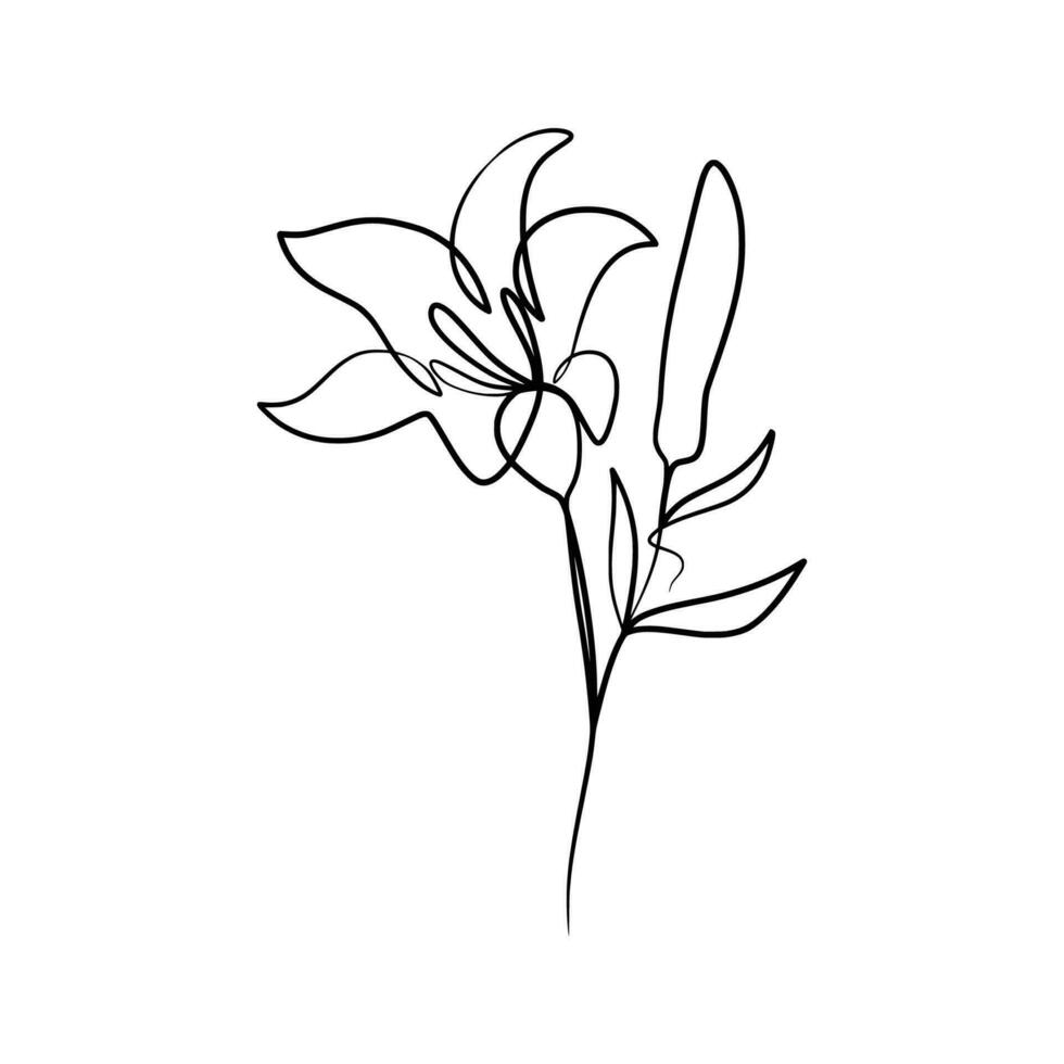 Continuous one line art drawing of beauty lily flower vector