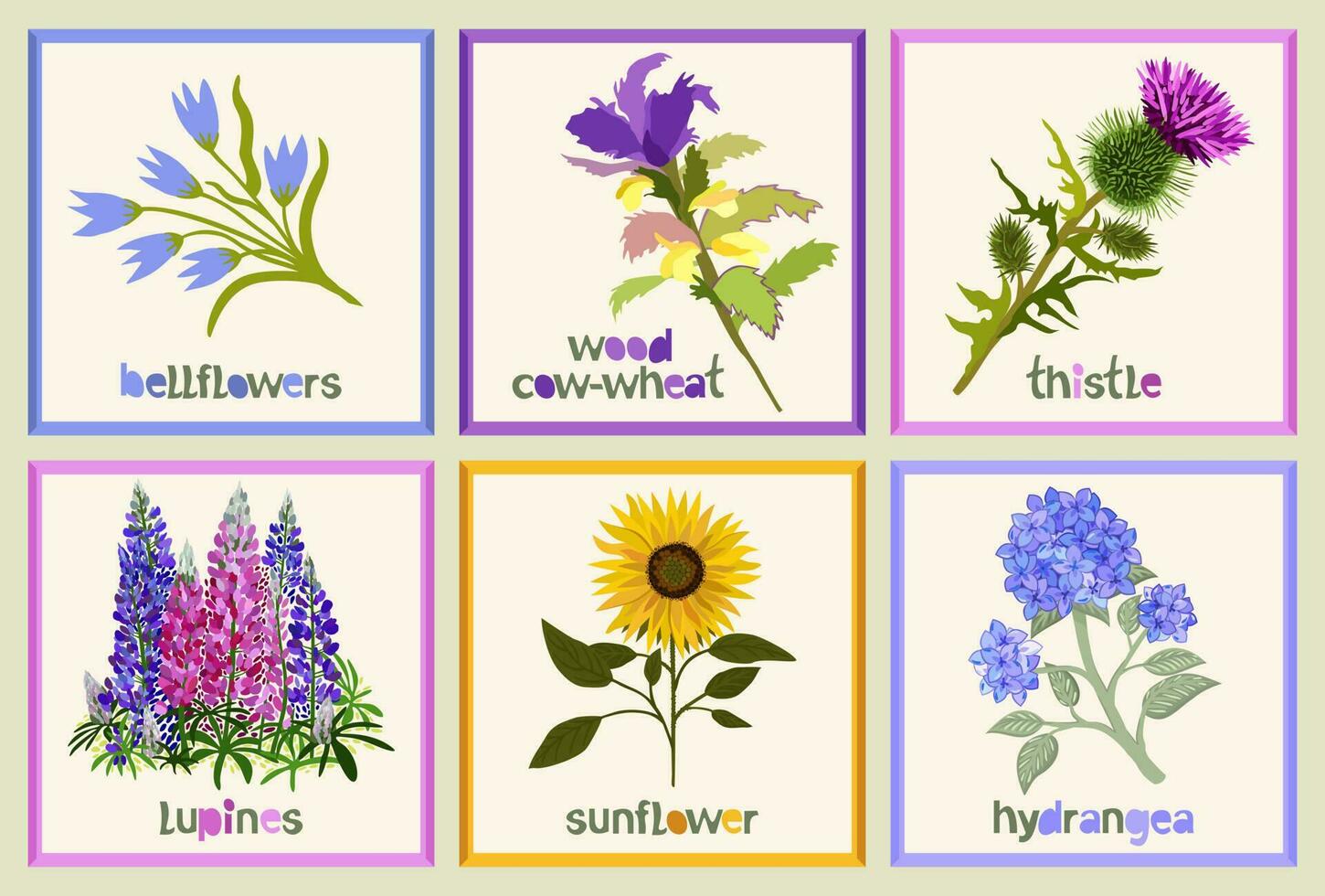 Set of six frames with various flowers with titles. vector