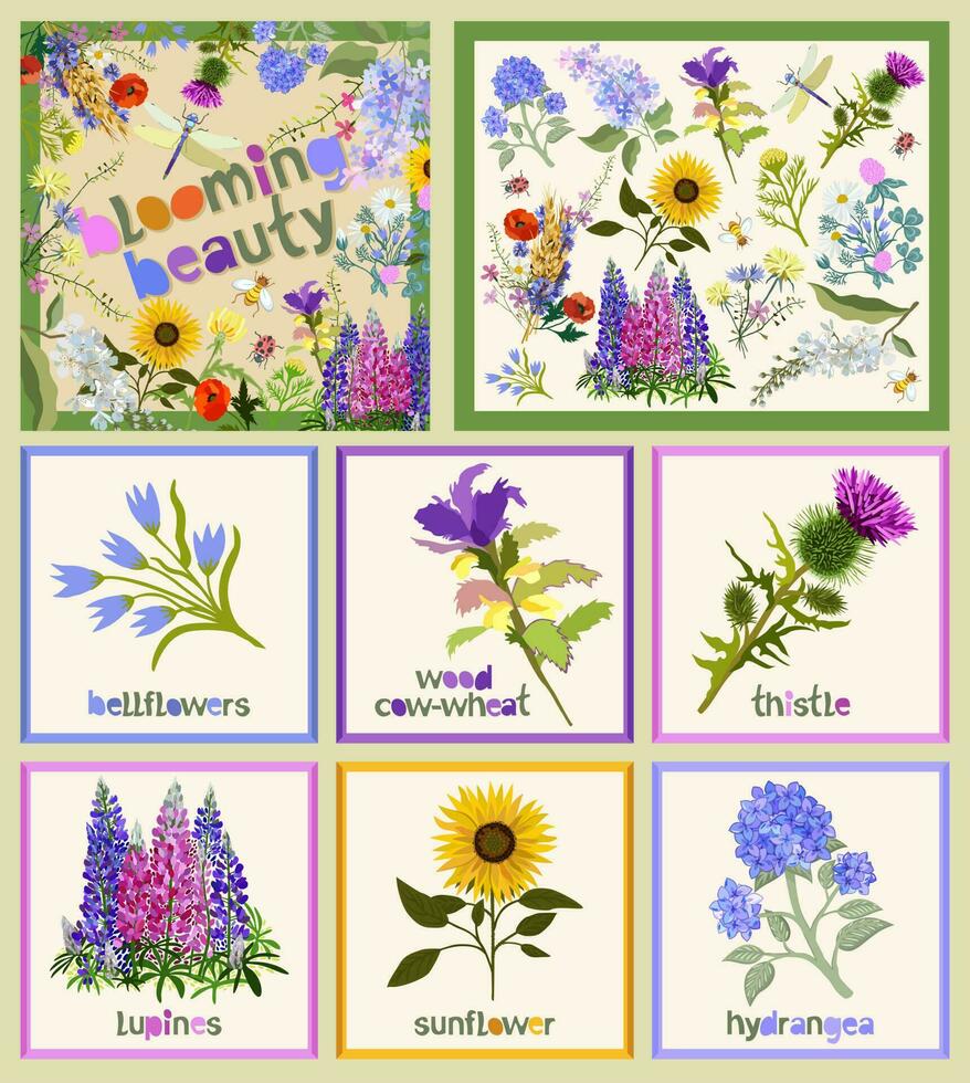 Big set of floral elements with lettering. vector