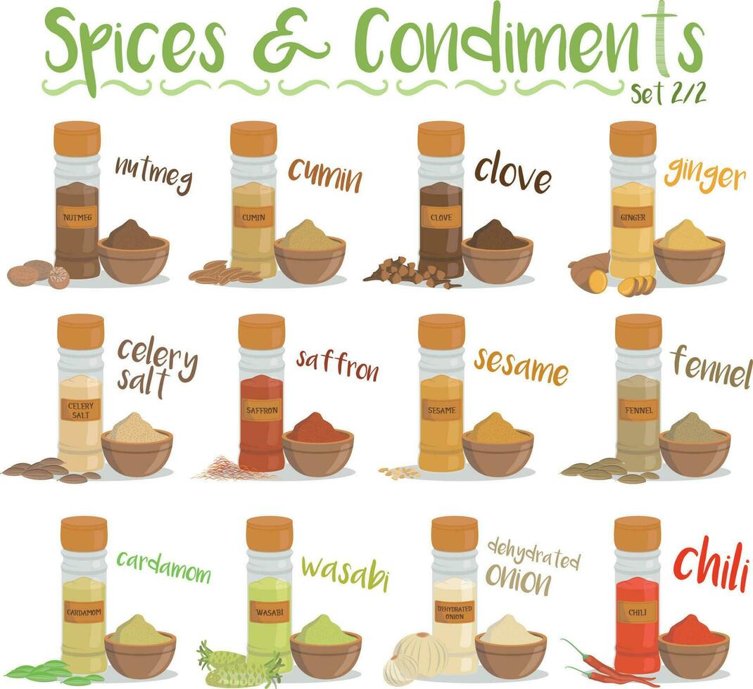 Set of 12 different culinary species and condiments in cartoon style. Set 2 of 2 vector