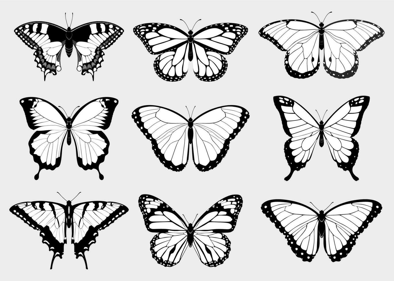 Isolated vector collection of top view black and white butterfly silhouettes