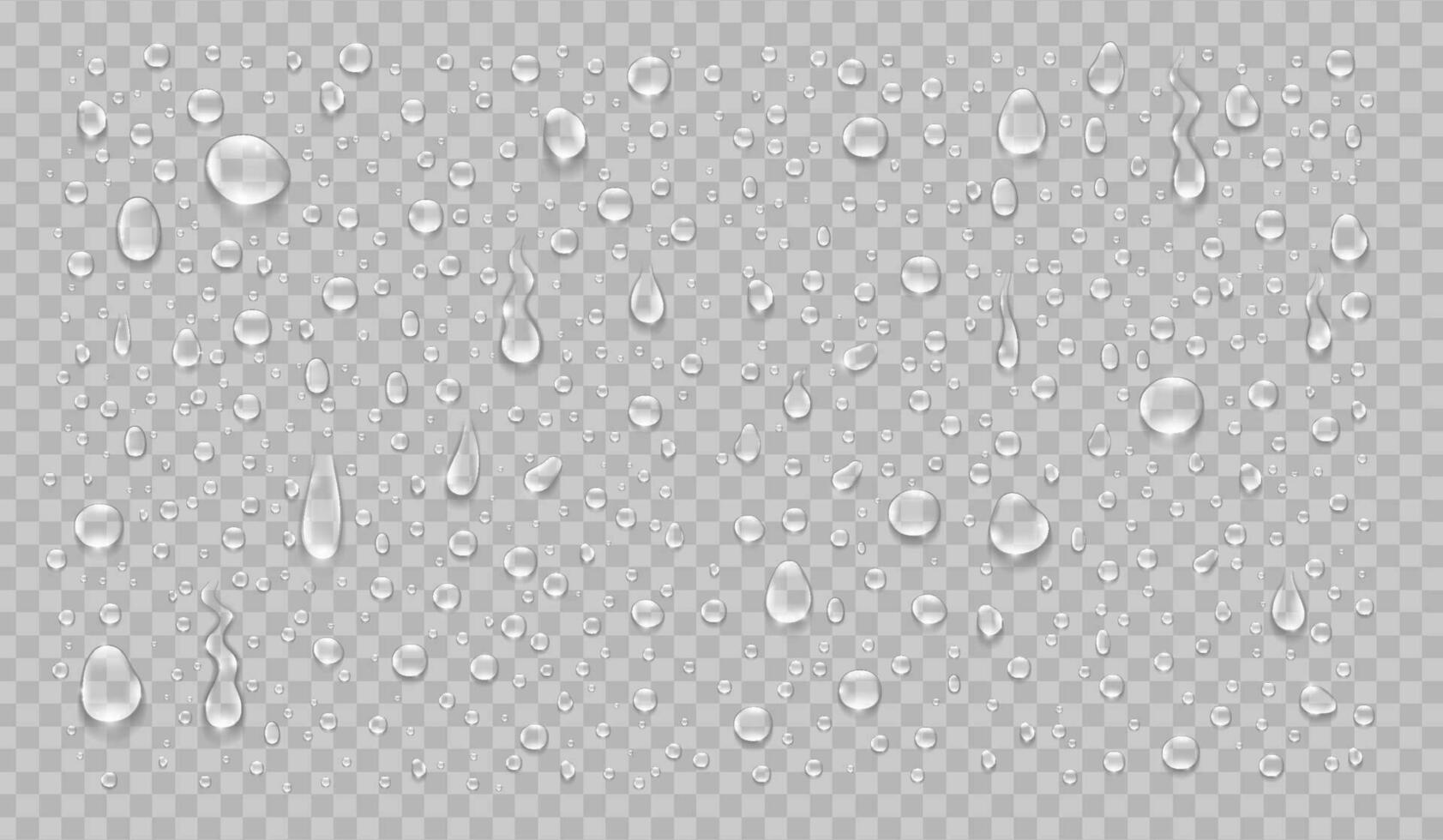 Water drops realistic isolated set. Vector illustration