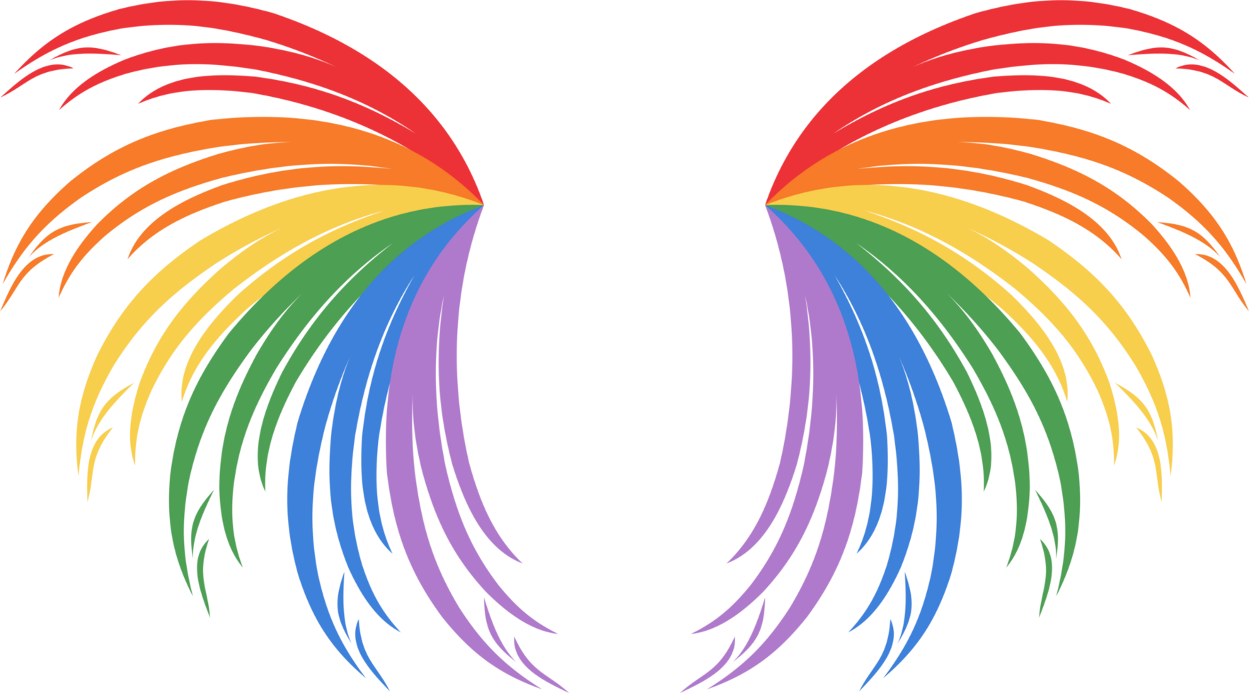 Rainbow wing PNG