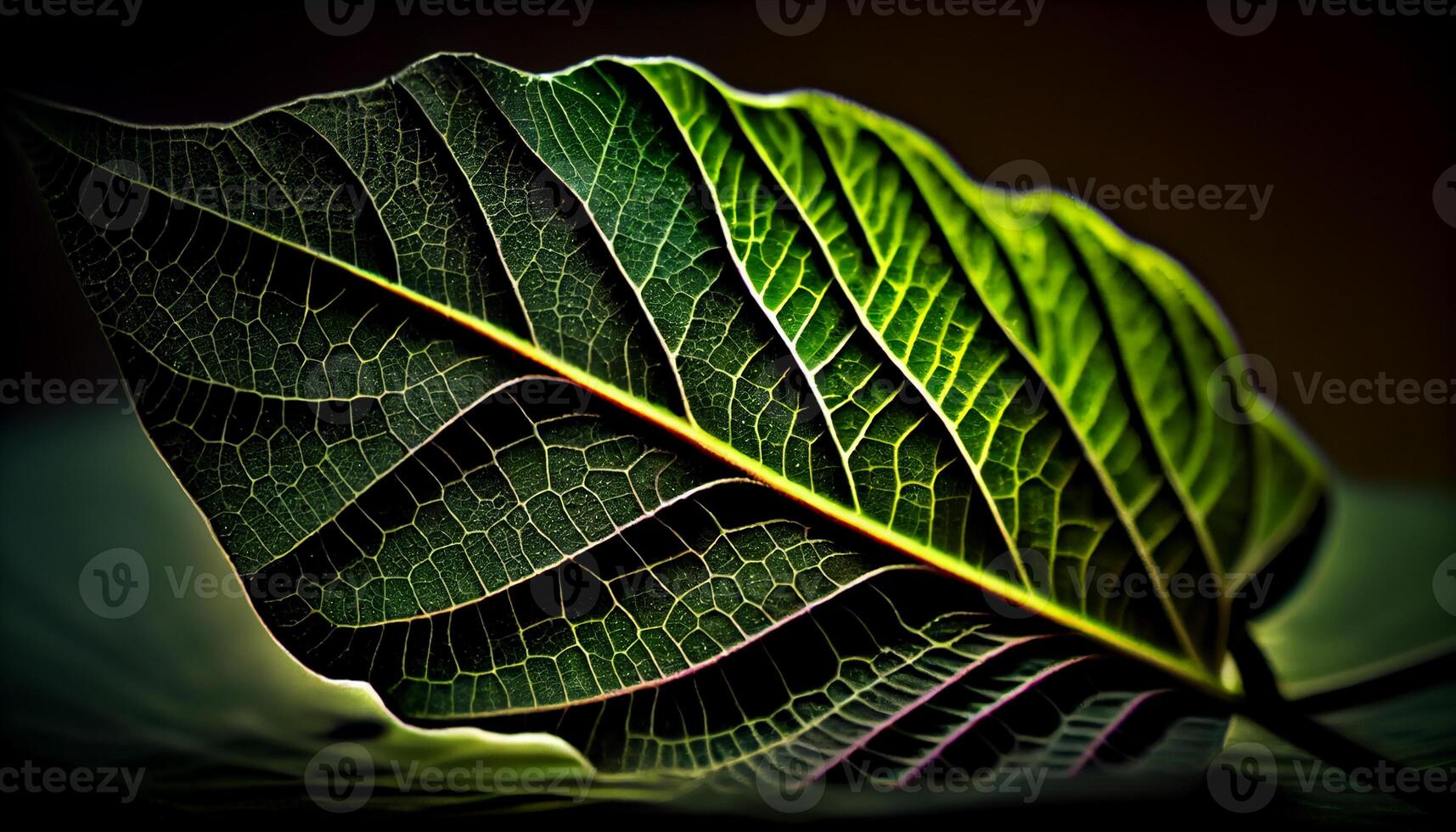 Vibrant green leaf vein adds natural symmetry generated by AI photo