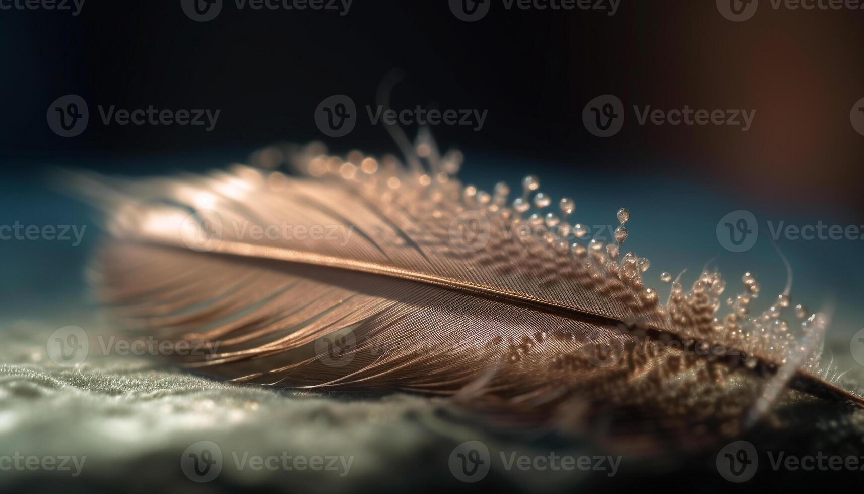 Softness and fragility of a feather quill generated by AI photo