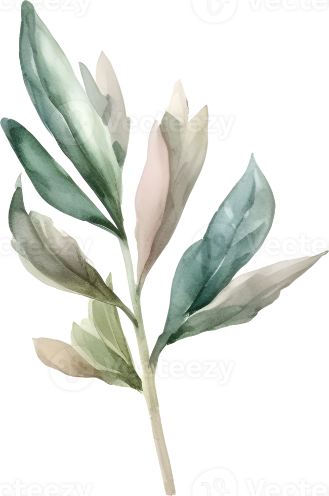 Green leaf watercolor element png