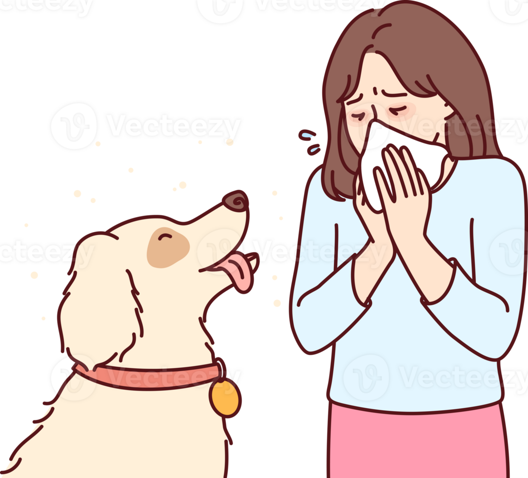 Little girl with dog suffers from allergies or rhinitis and blows nose into paper napkin png