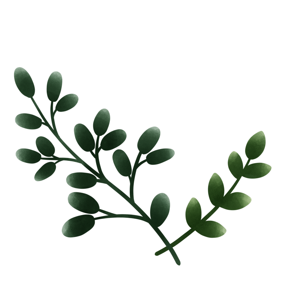 Simple tree branch png