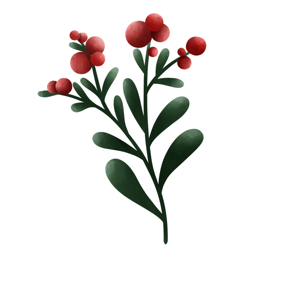 Red cherry tree branch png