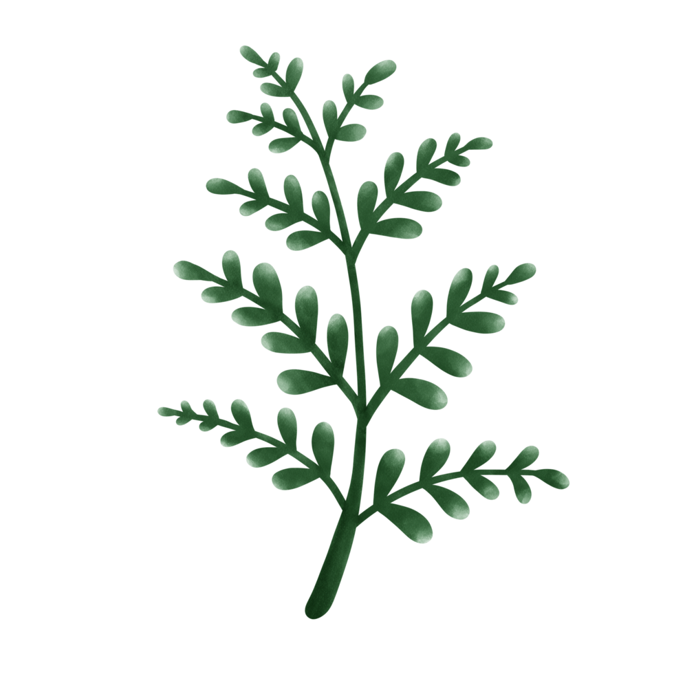 Cute green tree branch png