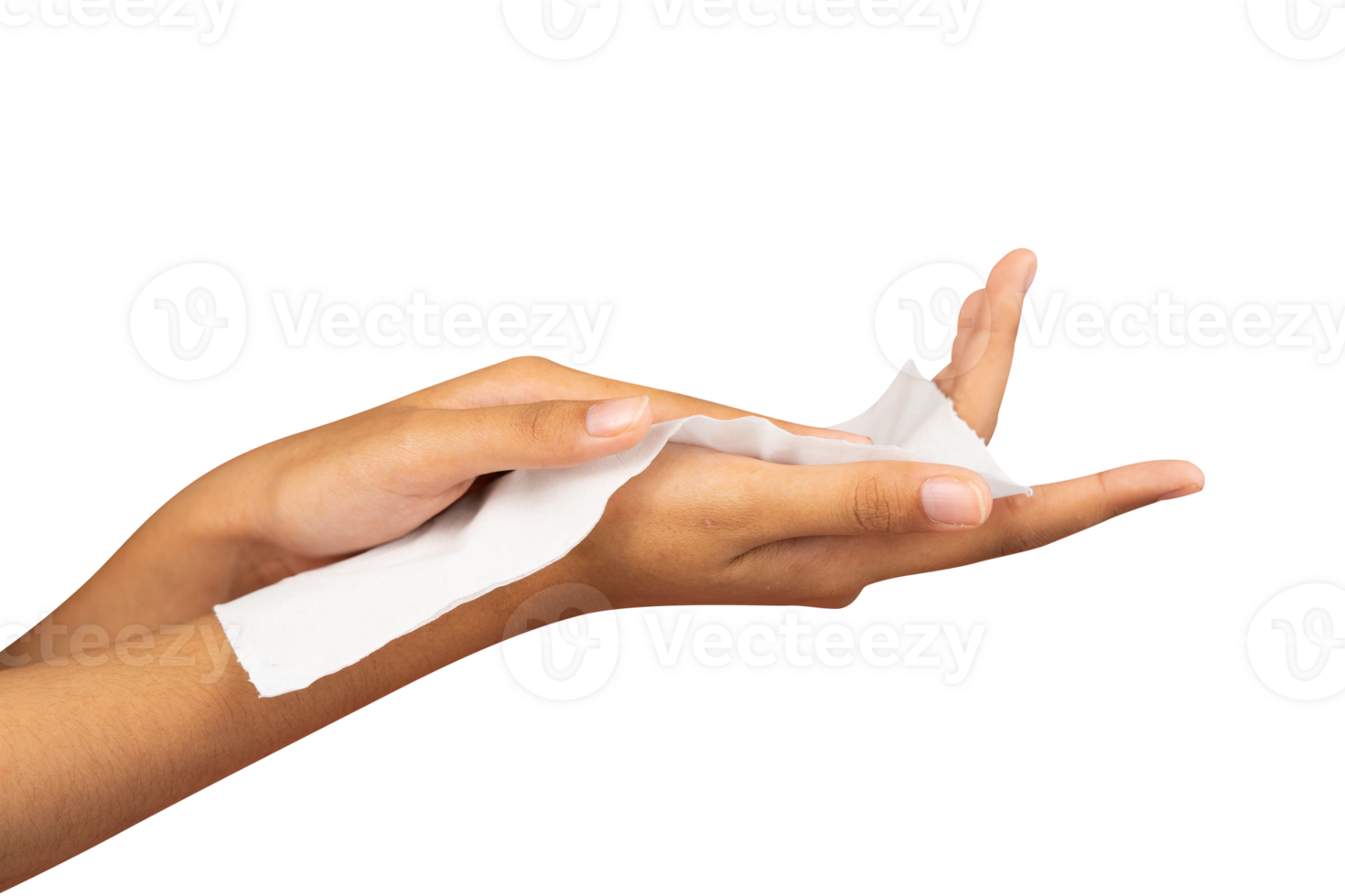 mani pulire palme con fazzoletto di carta isolato png