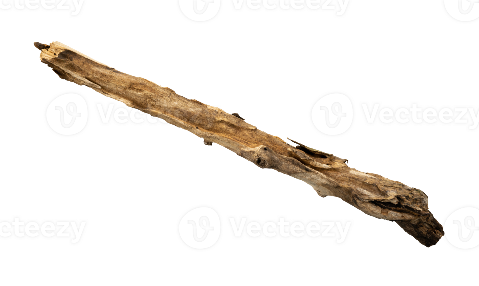 Old dead wood stick. Nature element isolated png