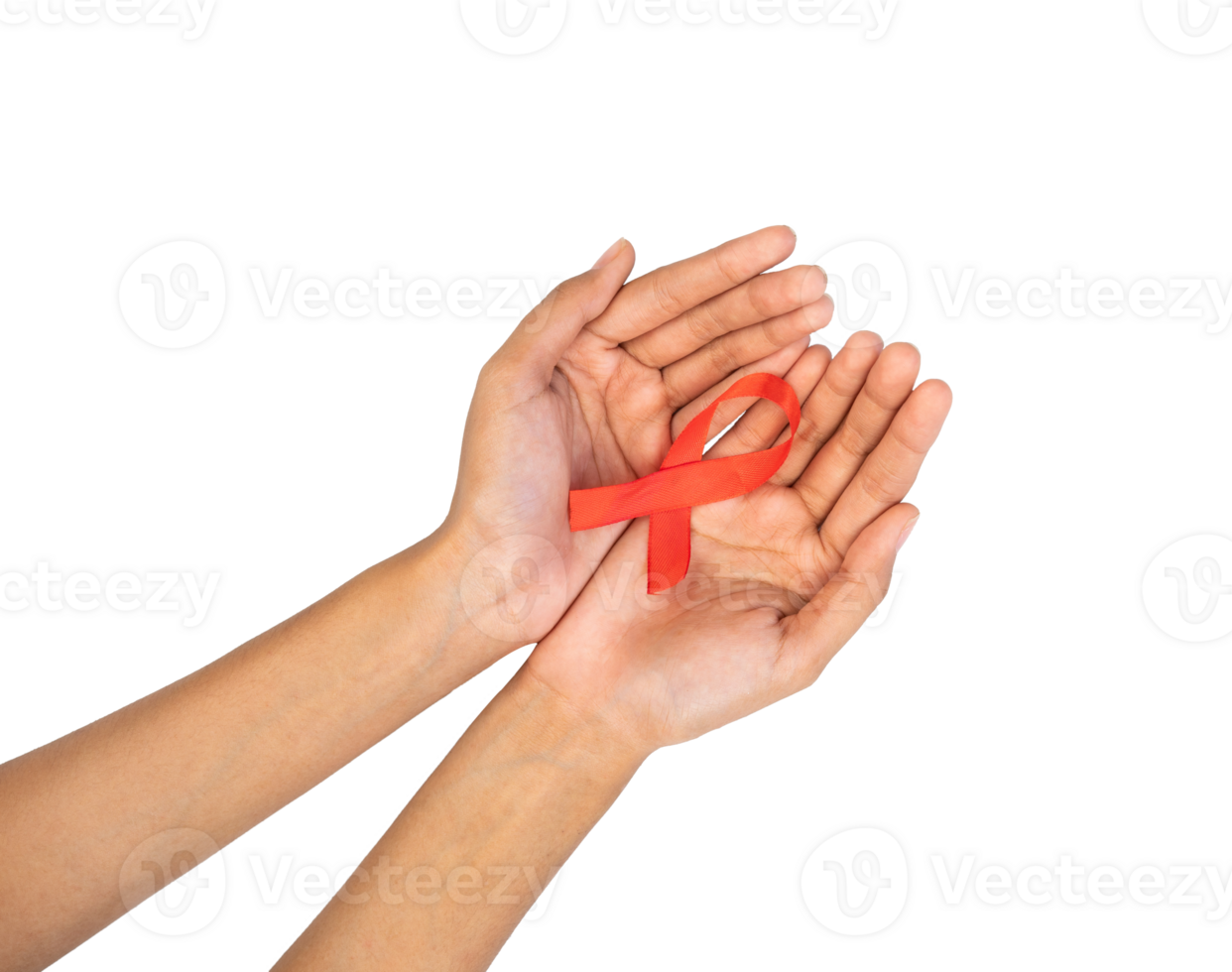 Hands holding red ribbon awareness symbol isolated png