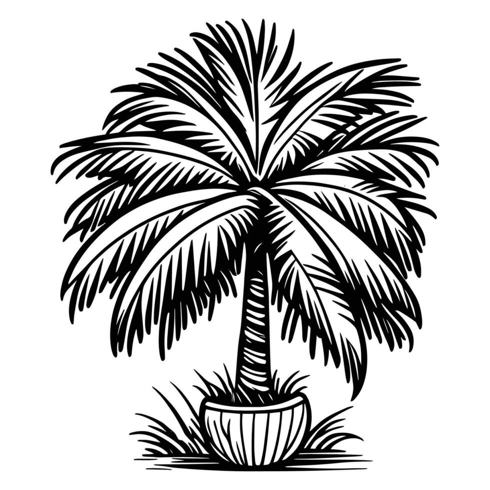 This is a coconut Tree Vector Silhouette, coconut tree line art vector black and white.