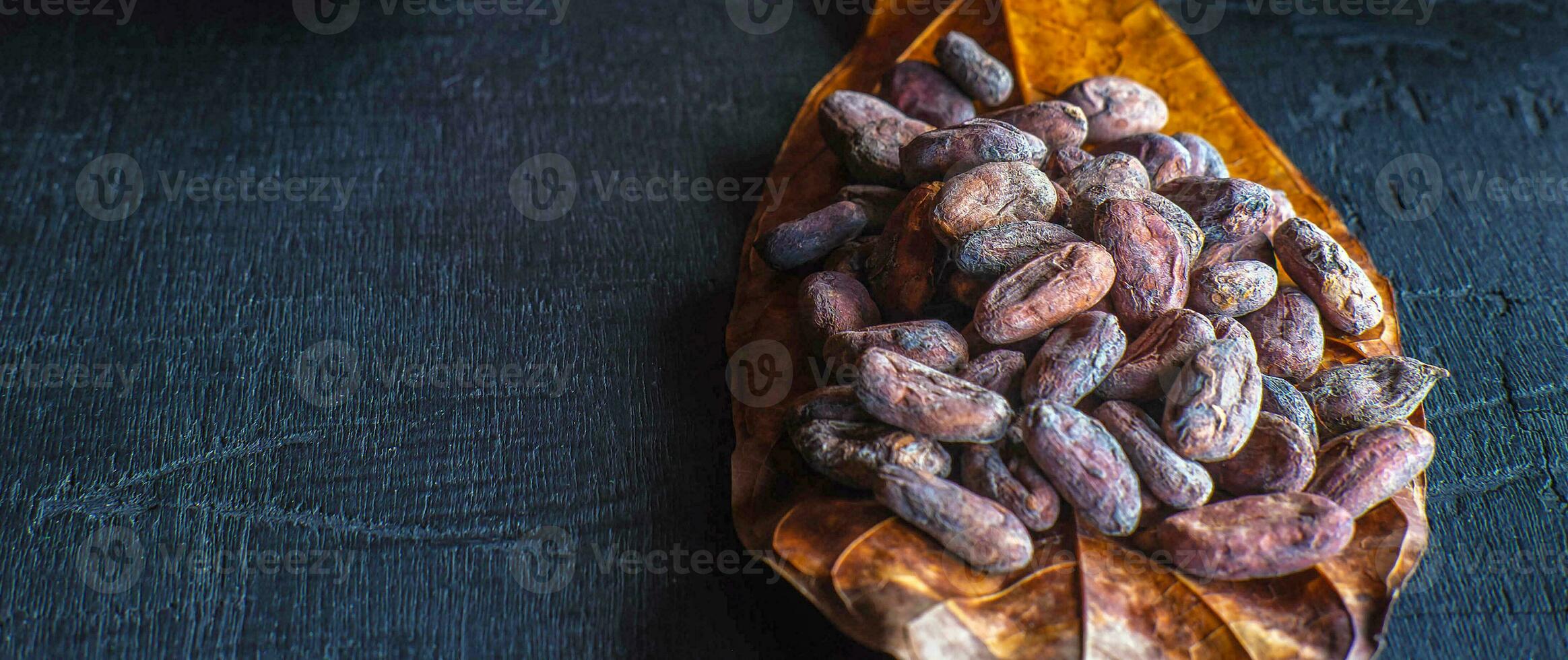Close-up of dried brown cocoa beans on cocoa leaves, raw material for making chocolate. photo