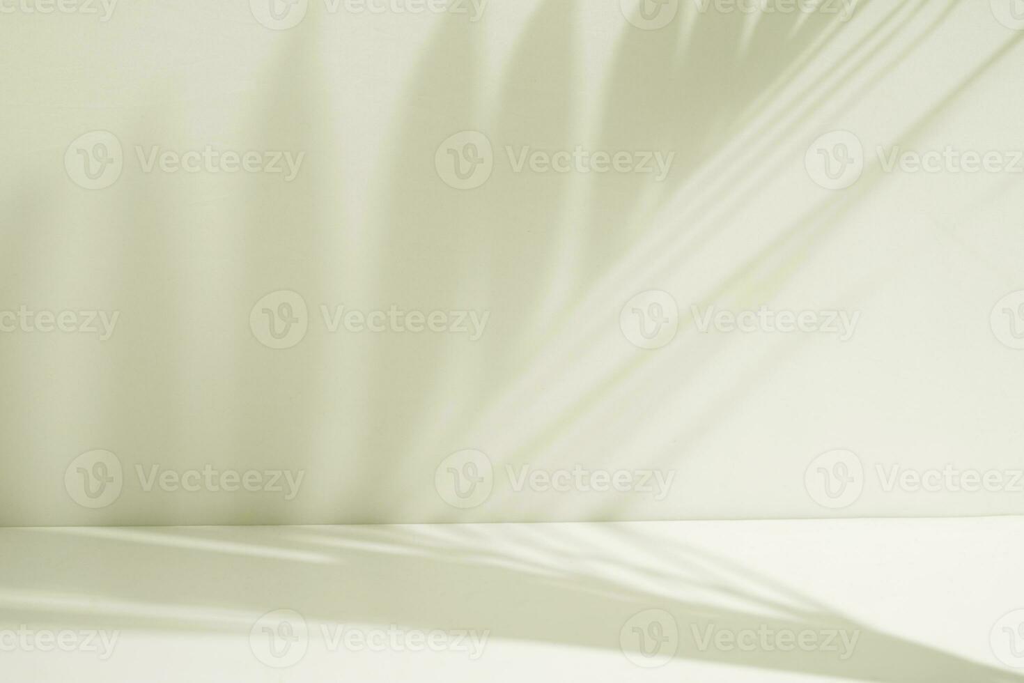 Abstract blurry palm leaf on white room. Minimalist interior for display product photo