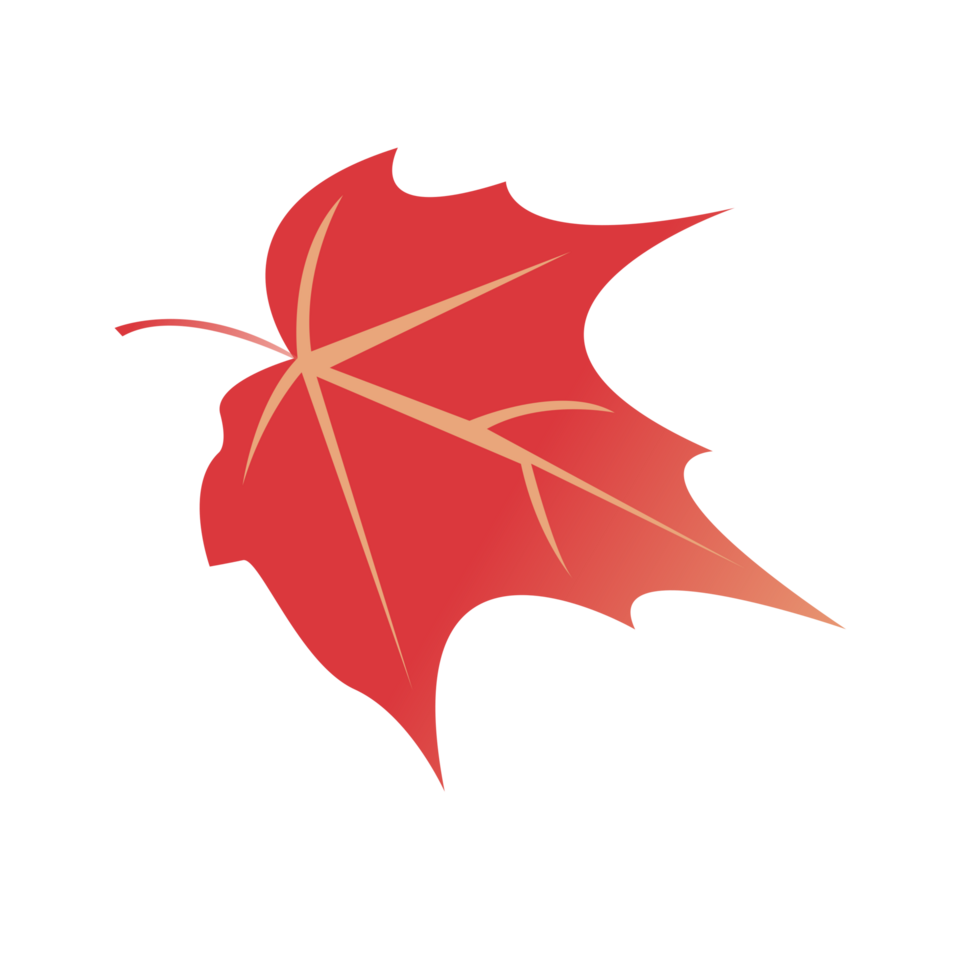 Autumn season, red leaf illustration png