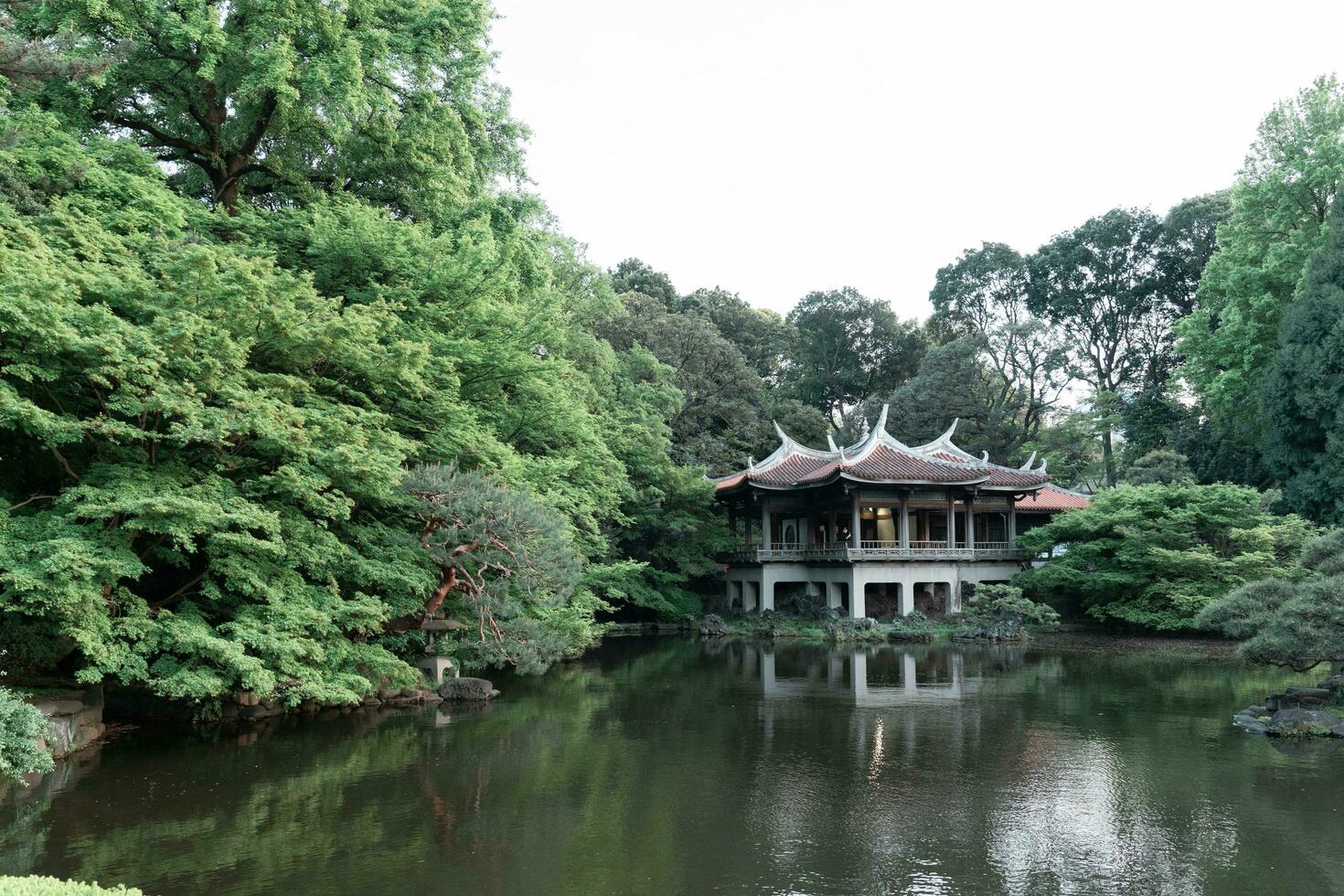 tokio, Japón - abril 11, 2023 Taiwán pabellón en Shinjuku gyoen nacional jardín en primavera foto