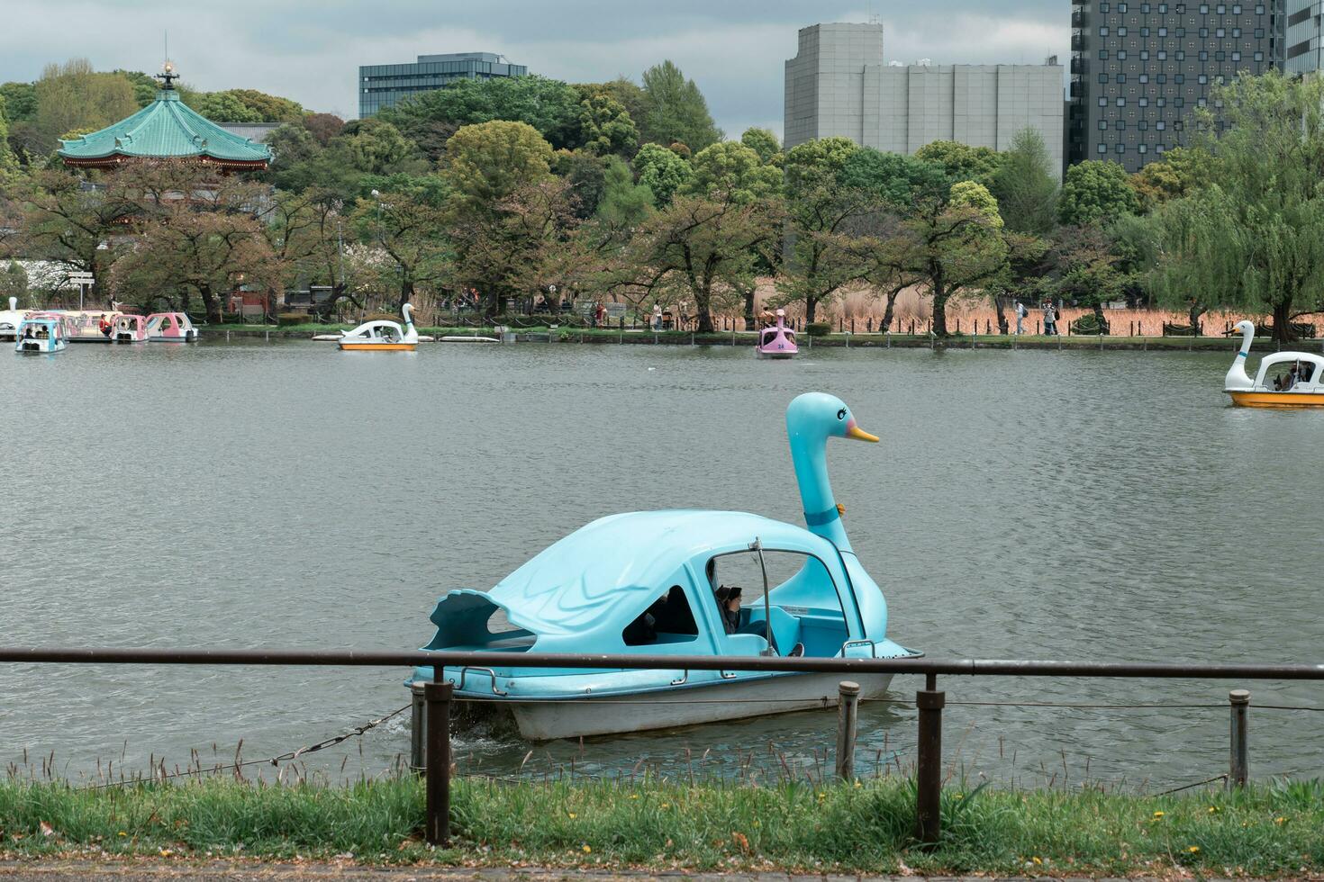 TOKYO, JAPAN - APRIL 8, 2023 People enjoy riding swan paddle boats in Shinobazu Pond in Ueno park with cherry blossom sakura photo