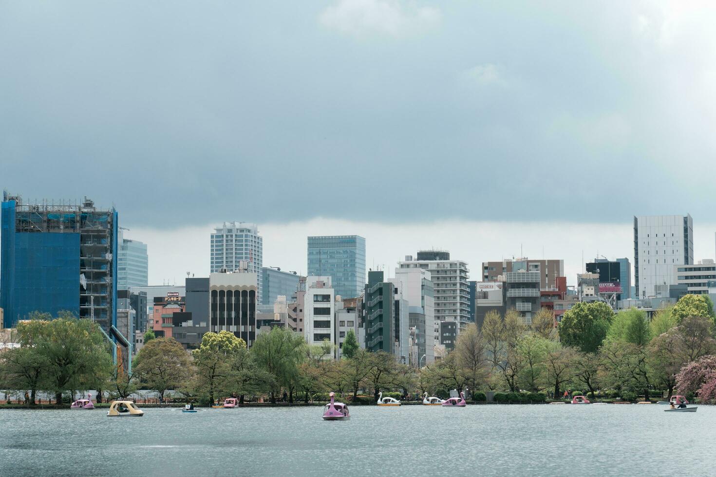 tokio, Japón - abril 8, 2023 personas montando cisne paleta barcos en shinobazu estanque en ueno parque con Cereza florecer sakura foto