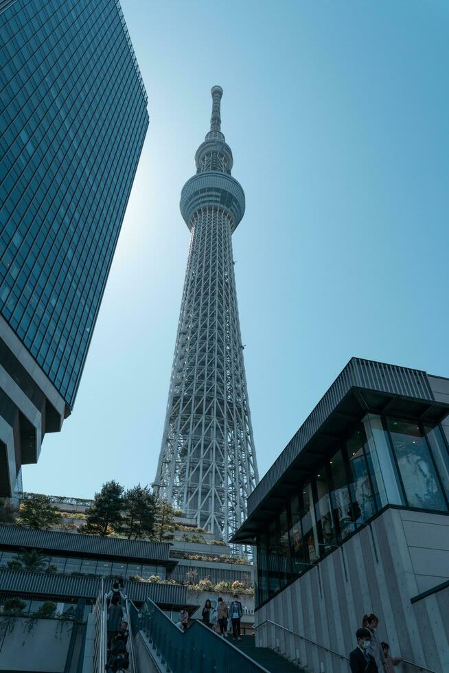 tokio, Japón - abril 9, 2023 tokio cielo arbol torre, famoso punto de referencia cerca sumida río foto