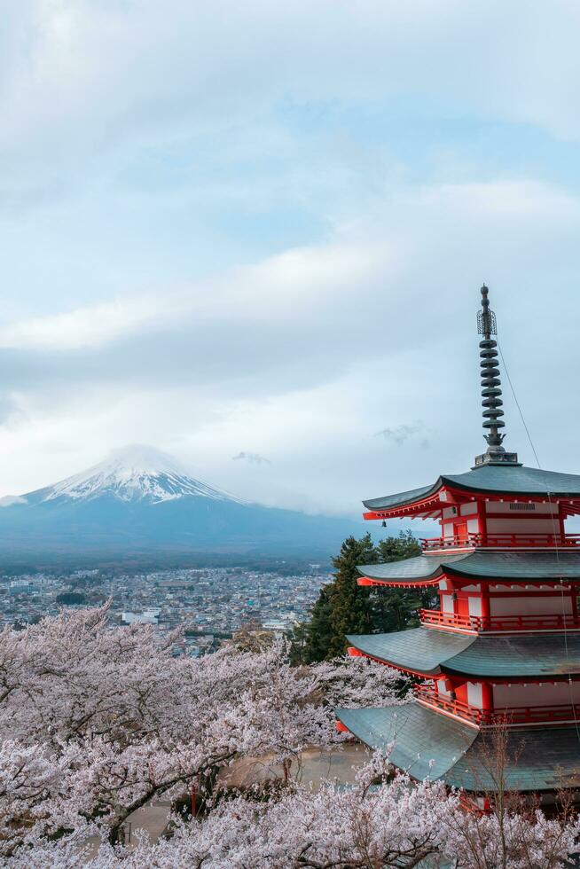 Chureito Pagoda with sakura and beautiful Mt.Fuji view photo