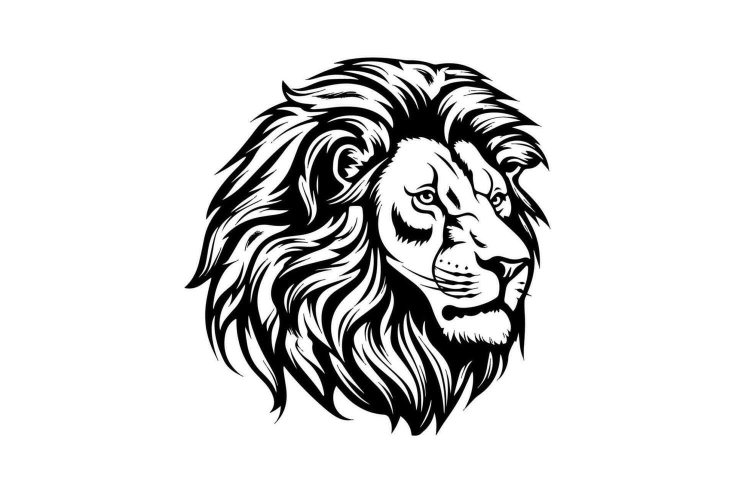 The lion head hand draw vintage engraving  black and white vector illustration on a white background.