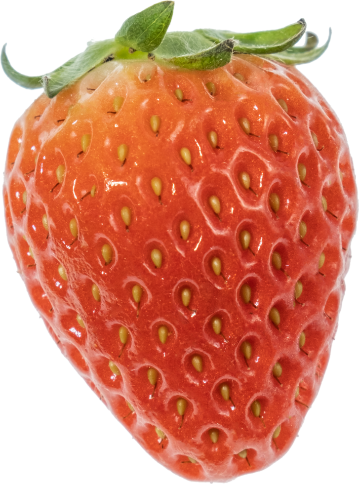 fragola tagliare su su trasparente sfondo. png