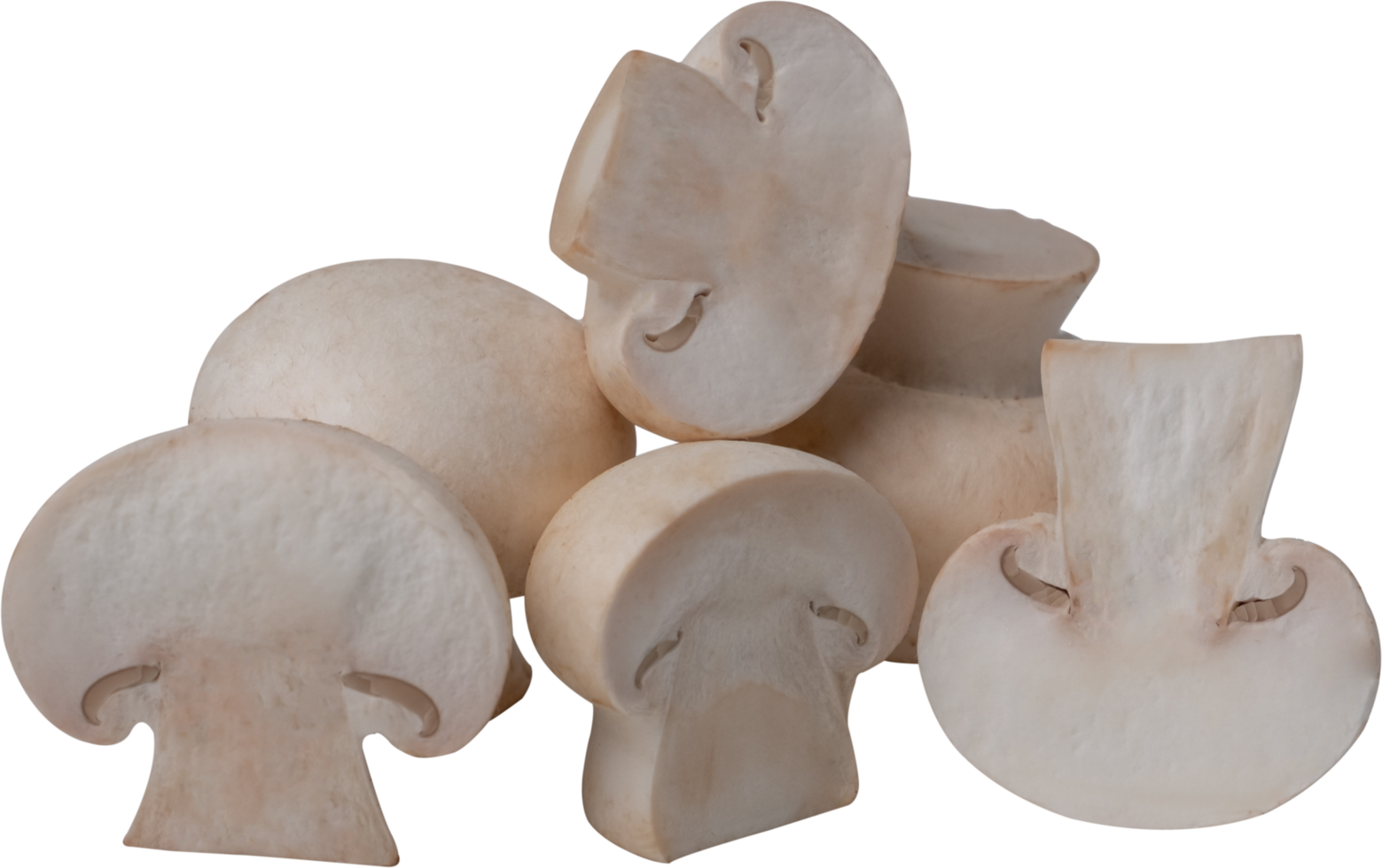 cremini mushroom cut out on transparent background. png