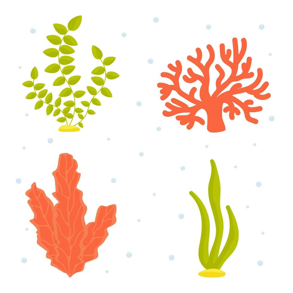 Vector illustration. Collection of underwater algae cartoon clipart. Undersea world. Sea, ocean, river.