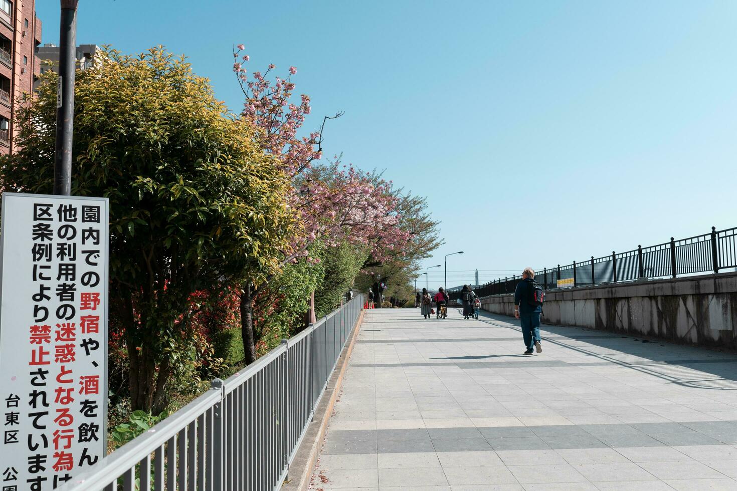 TOKYO, JAPAN - APRIL 9, 2023 People enjoy walking at Sumida reiver walk photo