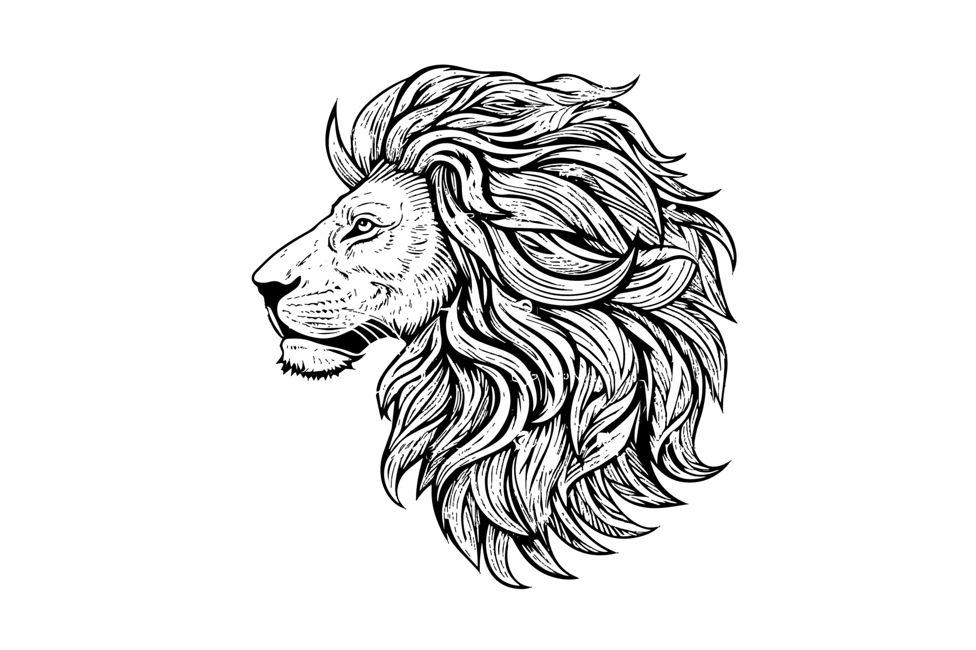 The lion head hand draw vintage engraving black and white vector
