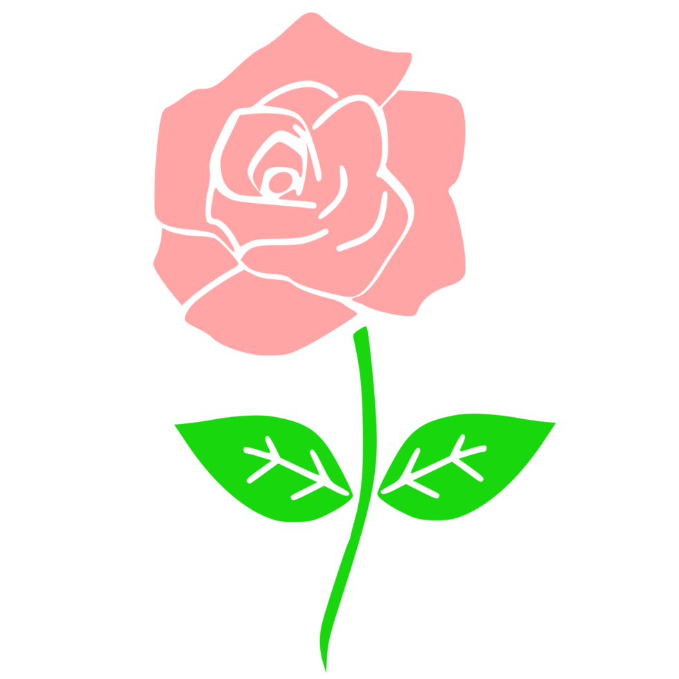 pink rose design png