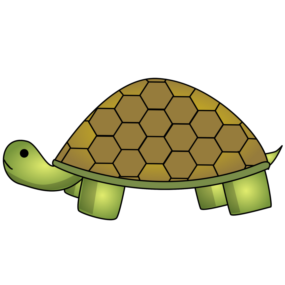 vert tortue conception png