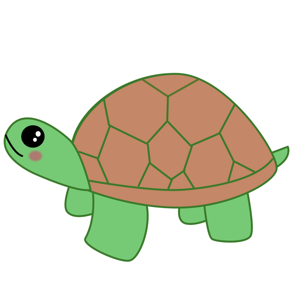 cute turtle design png