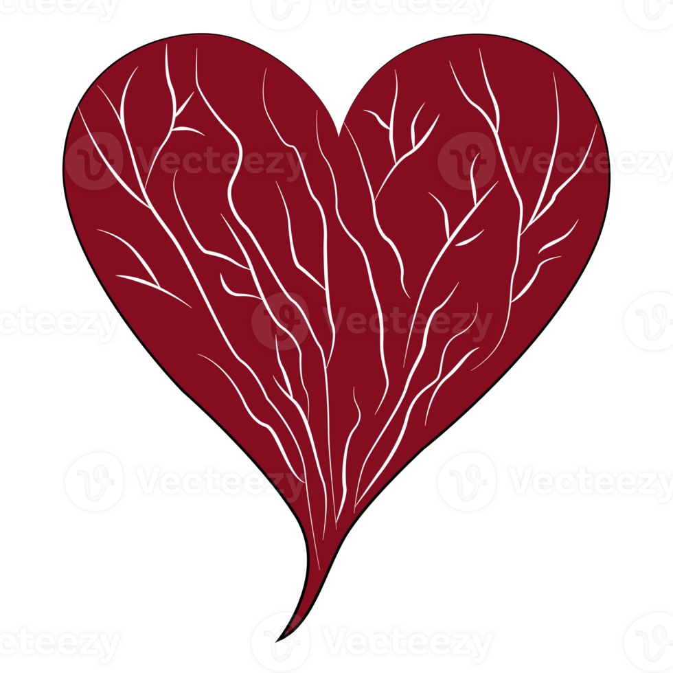 Heart and white blood vessel isolated design on transparent background, valentine icon clipart element for decoration png