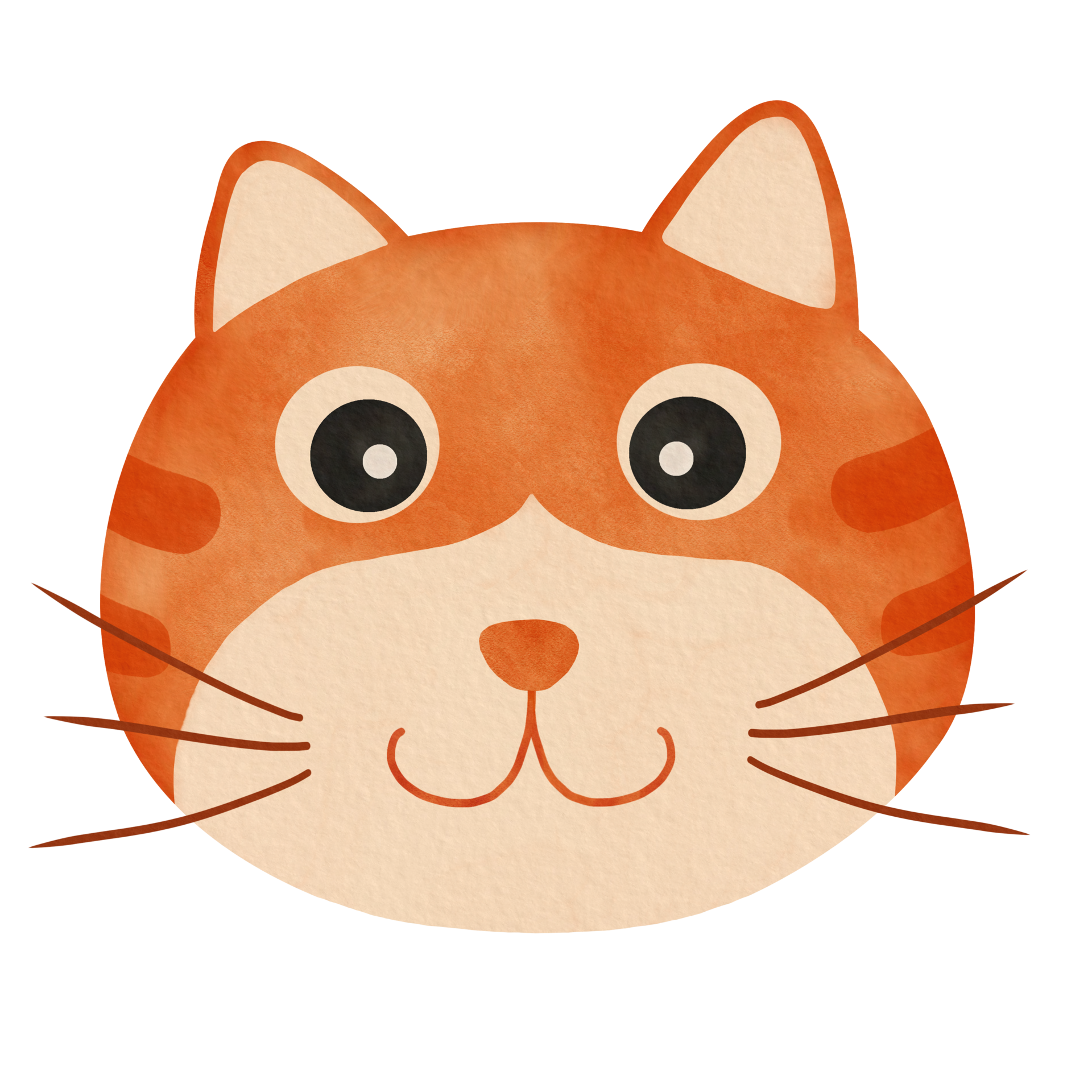 Orange Tabby Cat Face 24659341 PNG