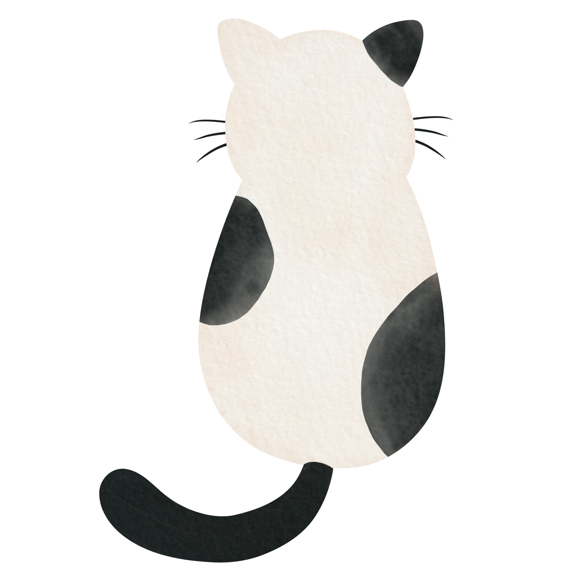 Black and White Cat back view 24659346 PNG